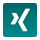 xing Icon